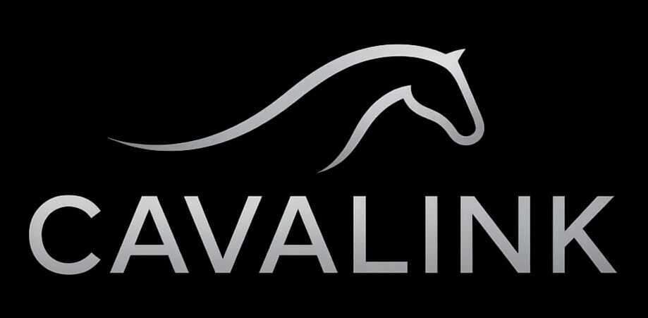 CAVALINK Logo